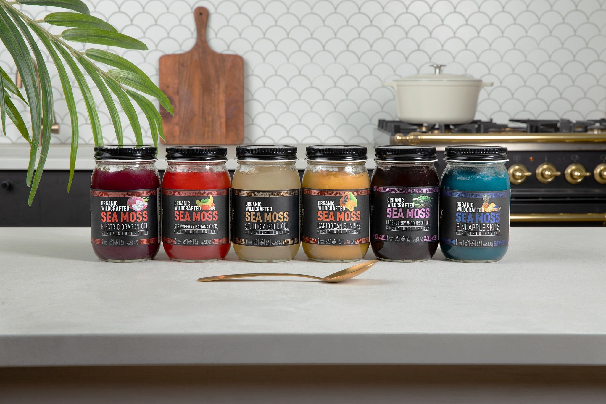 What Is Sea Moss Gel?